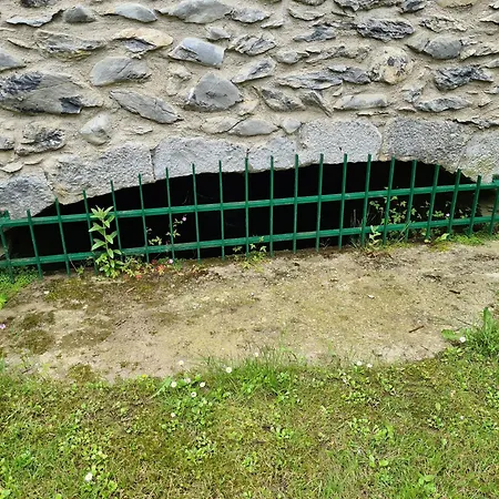 Lou Mouli Dous Amisc *